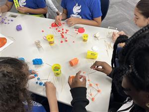 the dot structures STEAM 